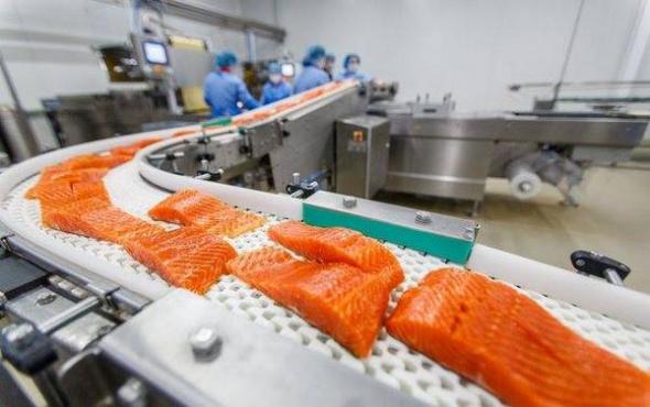 Токсиколог: «Норвежский лосось — самая токсичная еда во всём мире» 