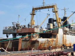 Госрыбагенство распродает океанический флот Украины