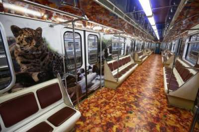 В этих вагонах метро пассажирам не бывает скучно. Фото