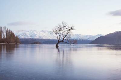 Фотограф исколесил Новую Зеландию ради этих уникальных снимков. Фото
