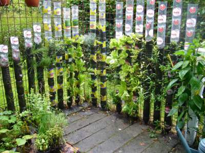 Эти идеи помогут украсить ваш сад. Фото