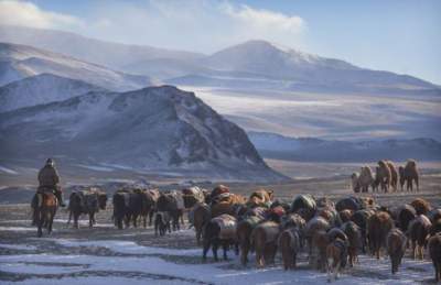 Фотограф показал жизнь кочевых казахов. Фото