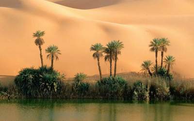 Снимки, которые изменят ваше представление о пустынях. Фото