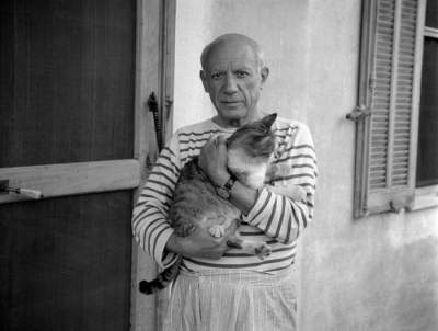 Любимые кошки великих художников ХХ века. Фото