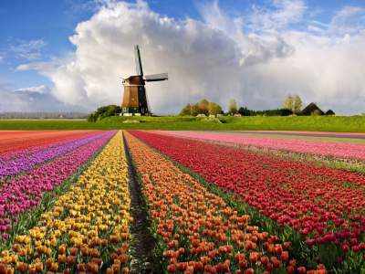 Самые красивые места Нидерландов. Фото