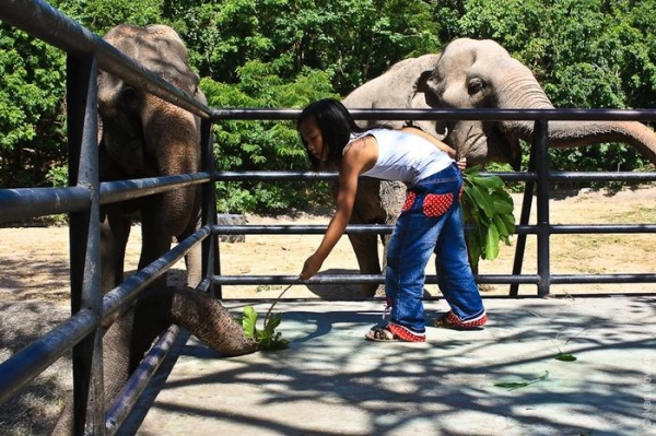 Таиланд. Зоопарк Као-Кео