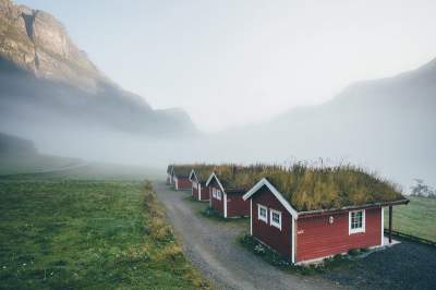 «Живые» крыши уютных скандинавских домиков. Фото