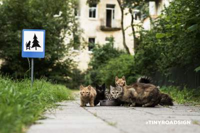 В Вильнюсе создали дорожные знаки для животных и птиц. Фото