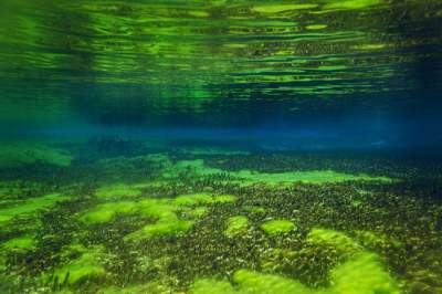 "Прозрачная" красота: самое чистое озеро в мире. Фото