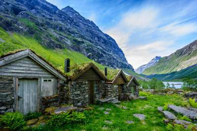 «Живые» крыши уютных скандинавских домиков. Фото