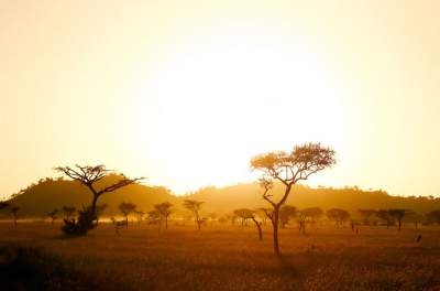  Загадочная Африка в серии колоритных снимков. Фото