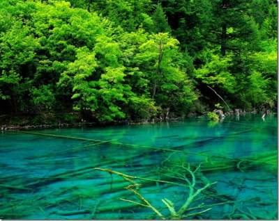 Уникальные водоемы национального парка Цзючжайгоу. Фото