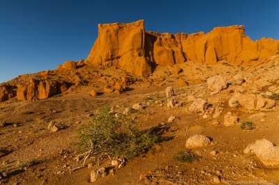 Уникальная пустыня, хранящая память о динозаврах. Фото