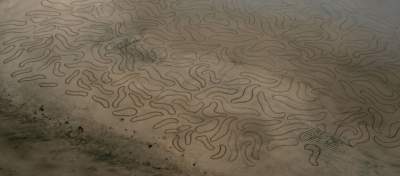 Невероятные узоры, сделанные на обычном песке. Фото
