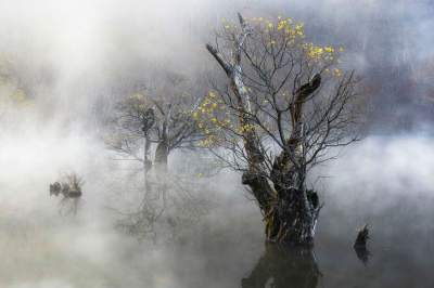 Волшебные пейзажи от талантливого корейского фотографа. Фото