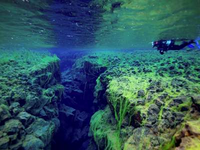 Самые захватывающие подводные пейзажи нашей планеты. Фото