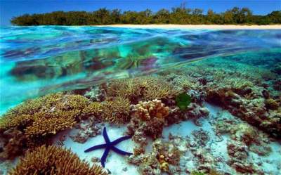 Величайшее творение природы – Большой Барьерный риф. Фото