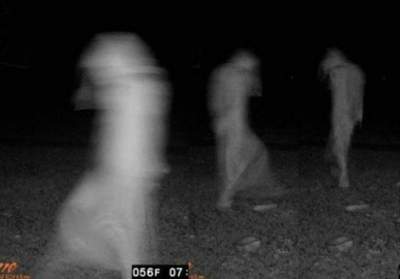 Жуткие снимки, сделанные охотниками глубокой ночью. Фото