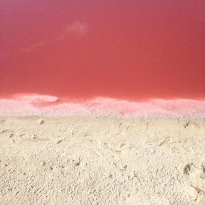 Мексиканское чудо природы: природная розовая лагуна. Фото