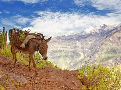 Двадцать самых живописных каньонов нашей планеты. Фото