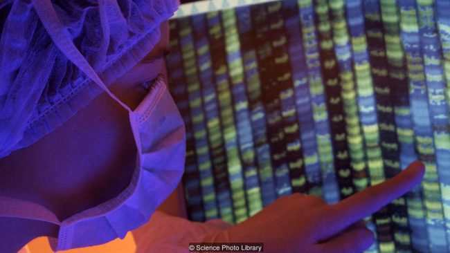 Первые генетически отредактированные младенцы будут рождены в Китае