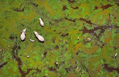 Удивительная природа Африки с высоты птичьего полета. Фото
