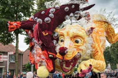 Шикарный парад цветов  в Нидерландах. Фото