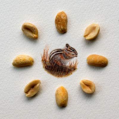 Удивительные миниатюрные акварели: меньше кофейного зернышка. Фото