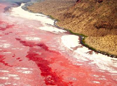 Красное озеро: зловещая красота озера Натрон в Танзании. Фото