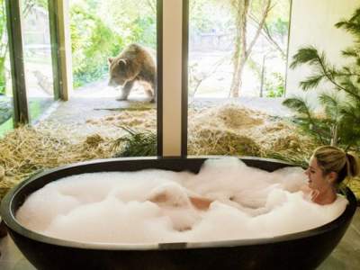 В этом необычном отеле можно поужинать с дикими животными. Фото