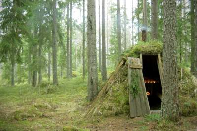 Самый лесной отель в Швеции. Фото