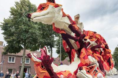 Шикарный парад цветов  в Нидерландах. Фото
