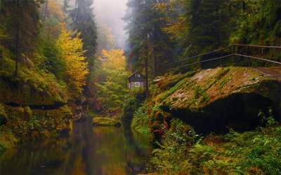 Очаровательные домики, затерянные среди лесов. Фото