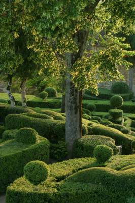 Вечнозеленое великолепие: сады Маркессака во Франции. Фото