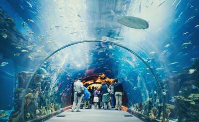 Так выглядят самые большие аквариумы в мире. Фото