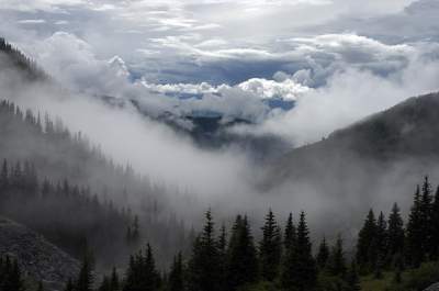 Туманные пейзажи: изумительные снимки. Фото