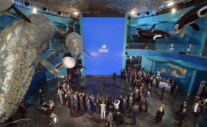 На острове Русский открылся Приморский океанариум Дальневосточного отделения РАН