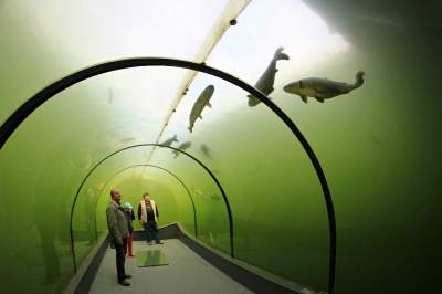 Уникальный стеклянный туннель на дне озера. Фото