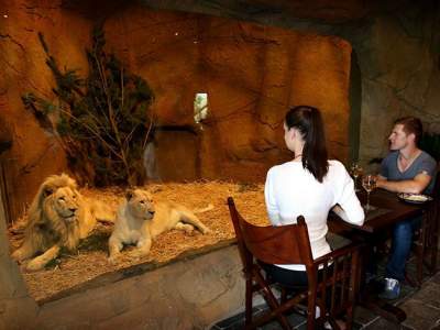 В этом необычном отеле можно поужинать с дикими животными. Фото