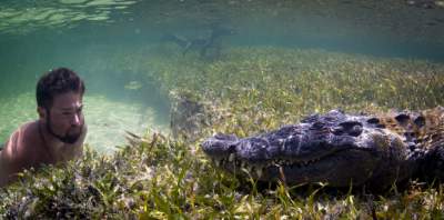Фотограф рисковал жизнью ради подводного портрета крокодила. Фото