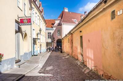 Таллин: город, сохранивший дух старины. Фото