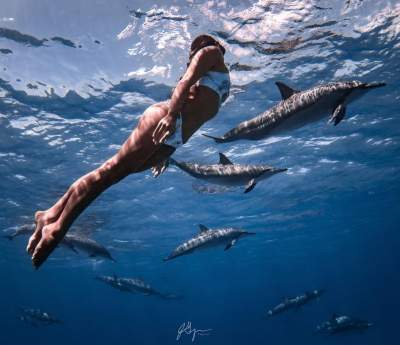 «Королева скатов»: модель, которая плавает нагишом с акулами и скатами. Фото