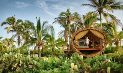Бамбуковый дом на дереве с видом на Тихий океан. Фото