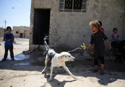 Фотограф показал страдания детей в охваченной войной Сирии. Фото