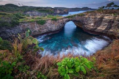 Удивительная природа Индонезии на снимках Ari Amphibia. Фото