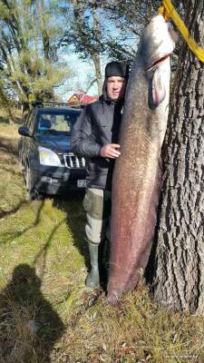 В Припяти рыбак выудил гигантского сома величиной с человека